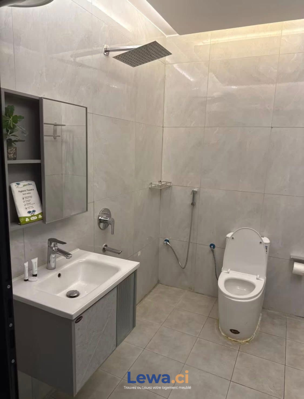 Salon de l'appartement