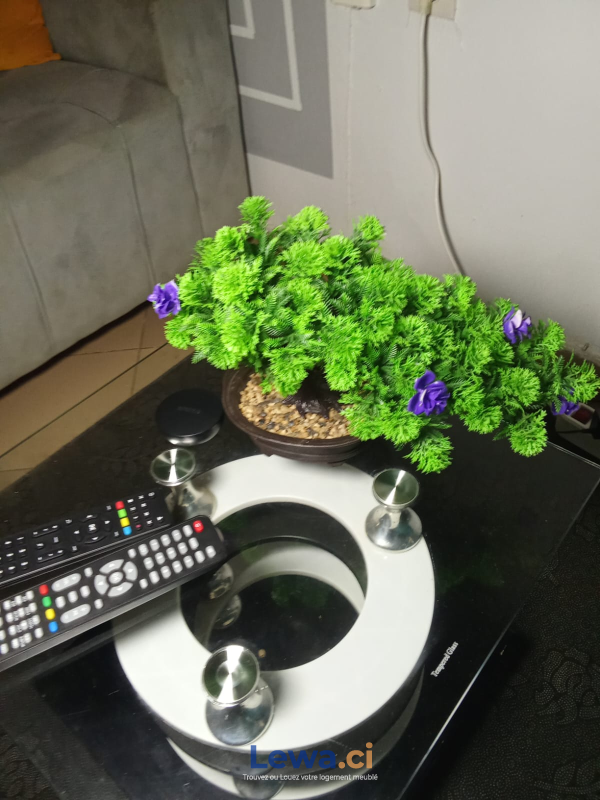 Salon de l'appartement