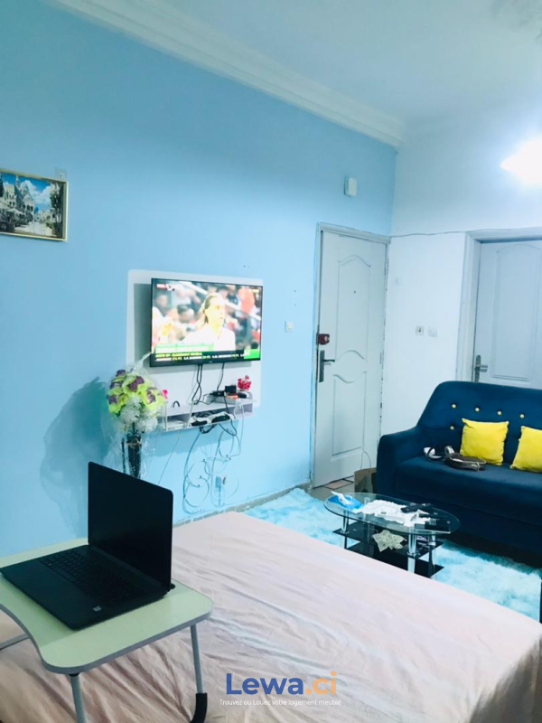 Salon de l'appartement