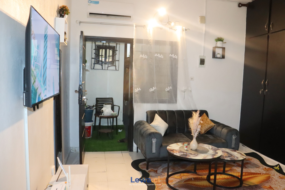 Salon de l'appartement