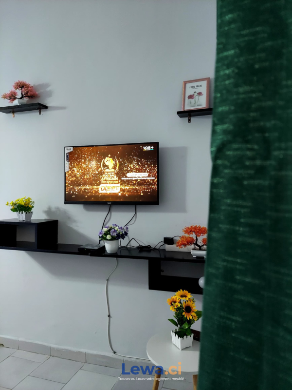 Salon de l'appartement