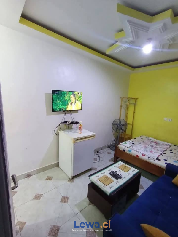 Salon de l'appartement