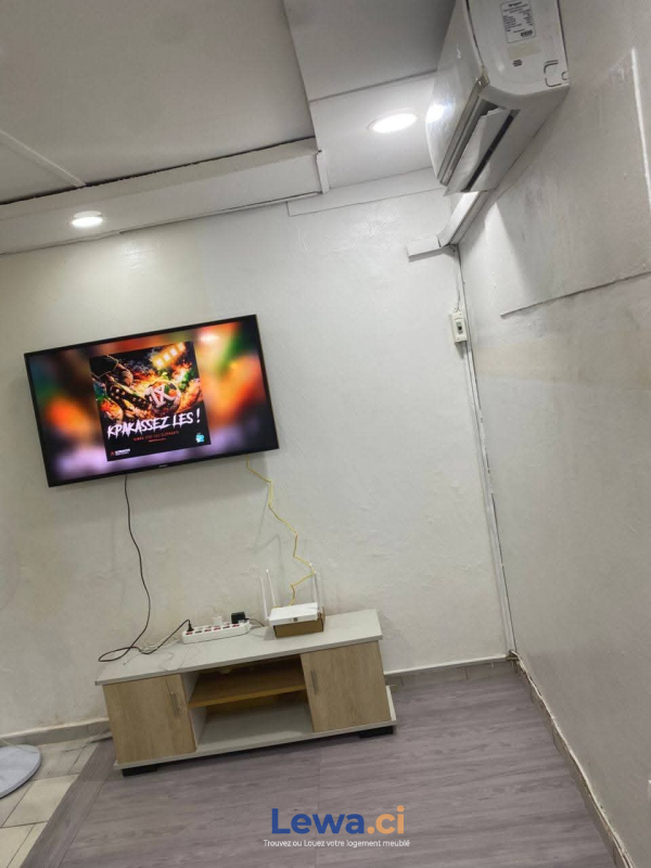 Salon de l'appartement