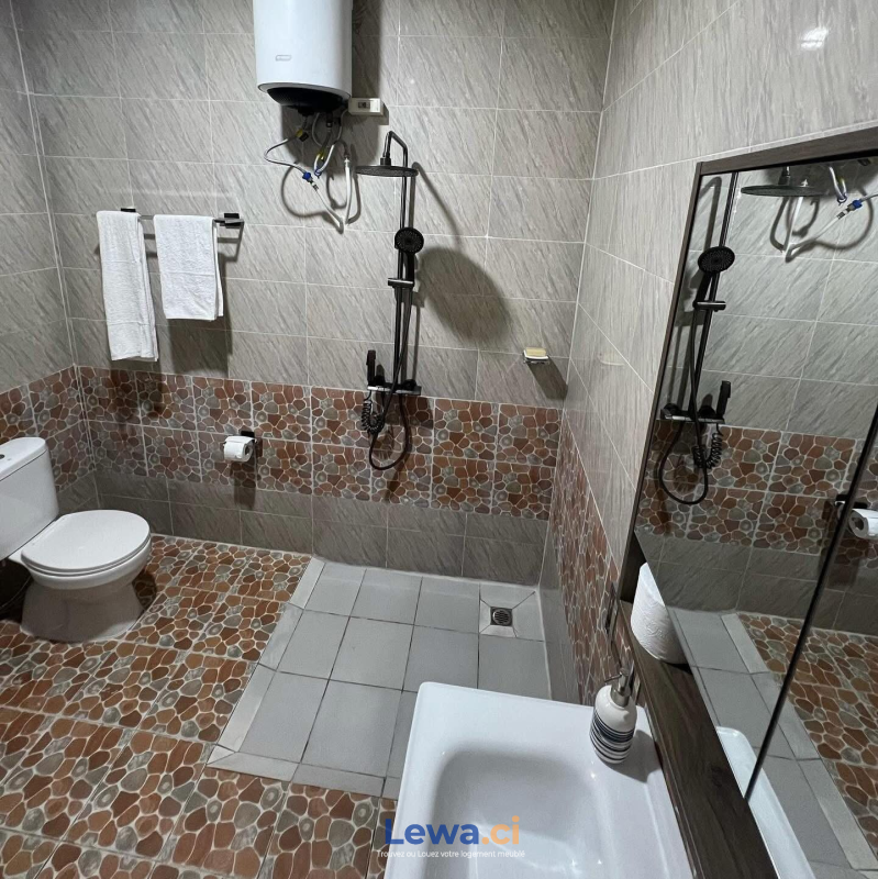 Salon de l'appartement