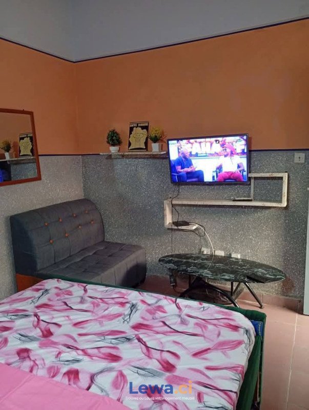 Salon de l'appartement