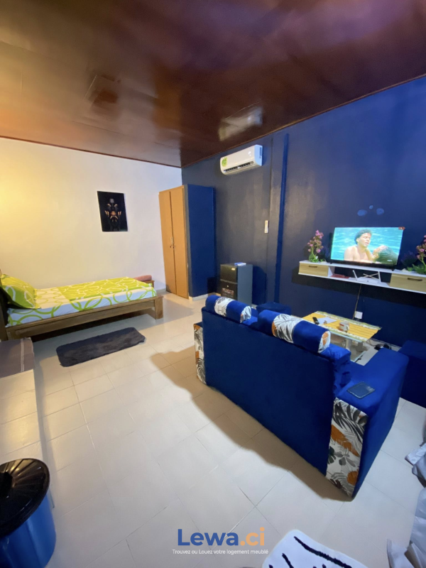 Salon de l'appartement