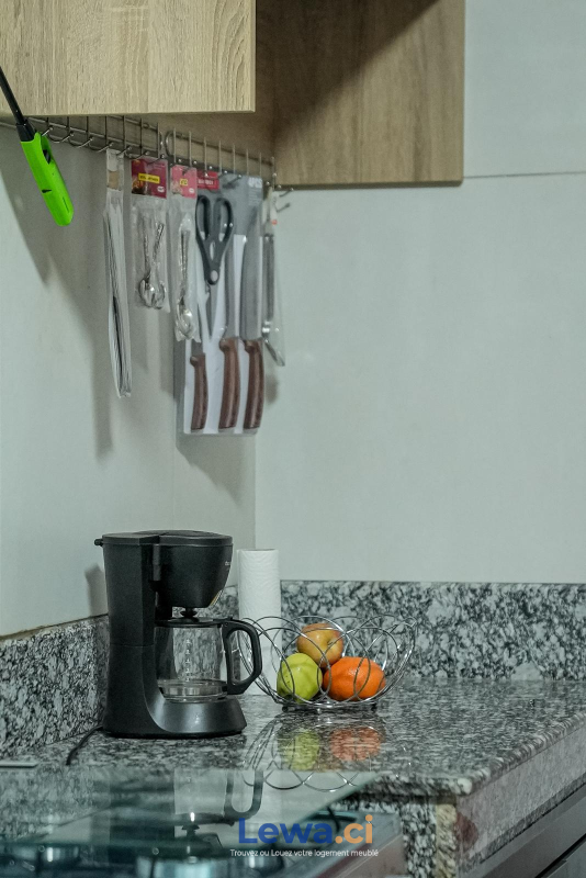 RÉSIDENCE MEUBLÉE - ARIEL'S