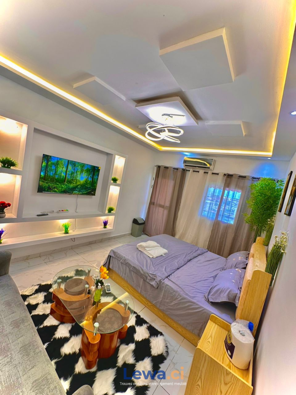 Salon de l'appartement