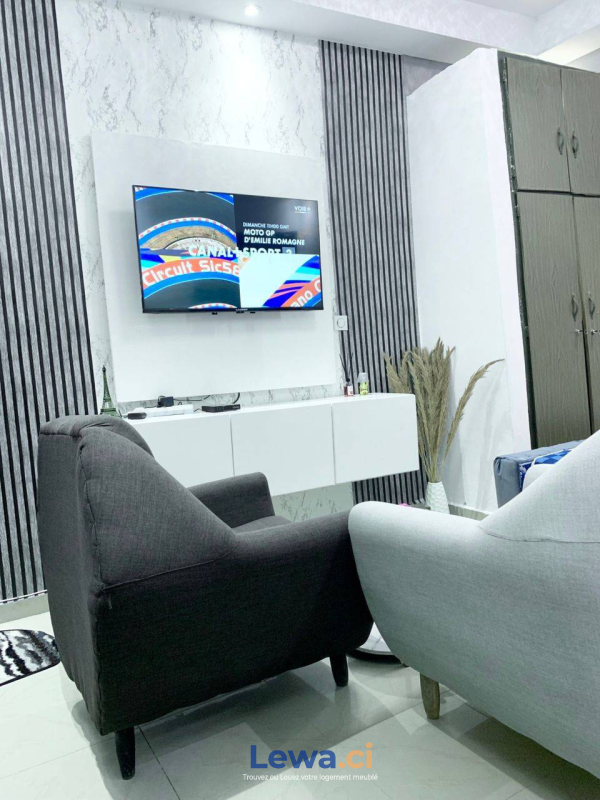 Salon de l'appartement