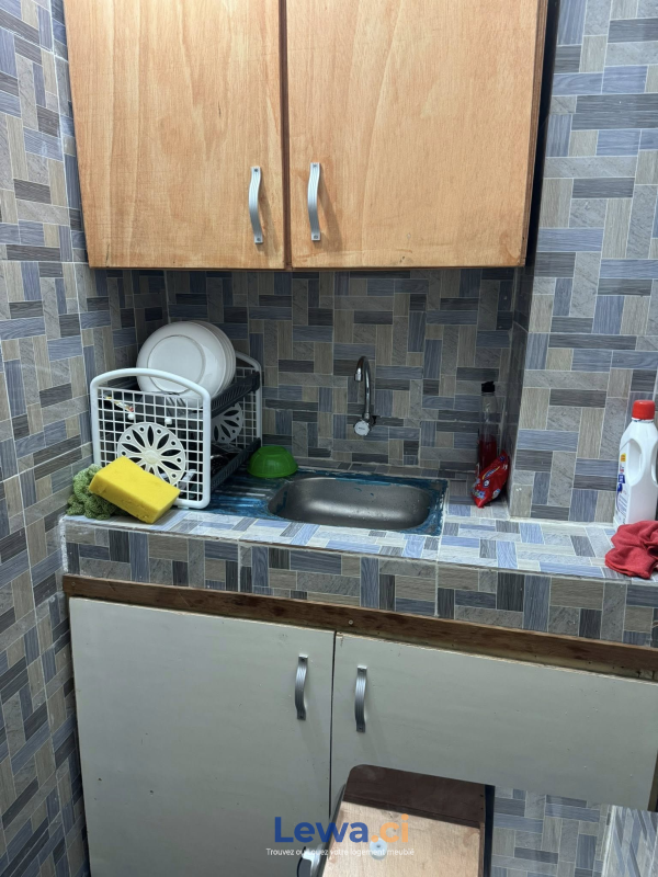 Salon de l'appartement