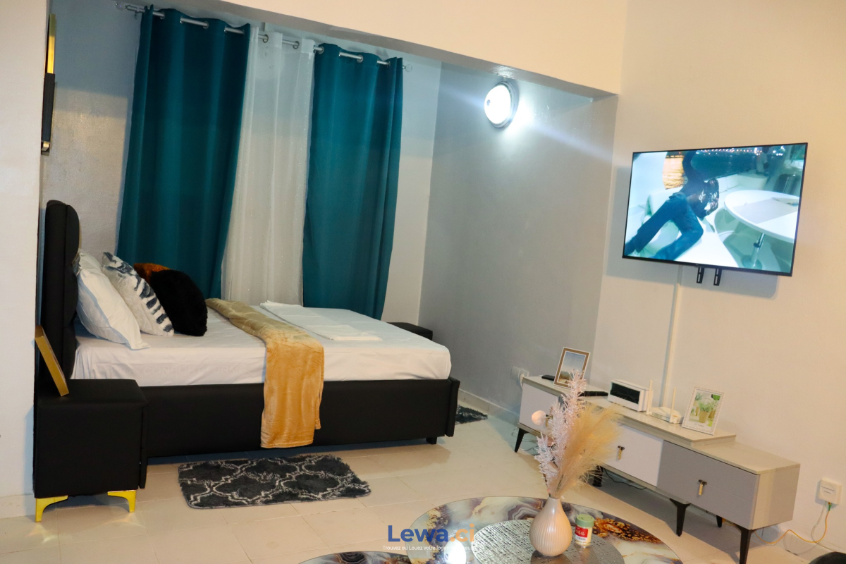 Salon de l'appartement