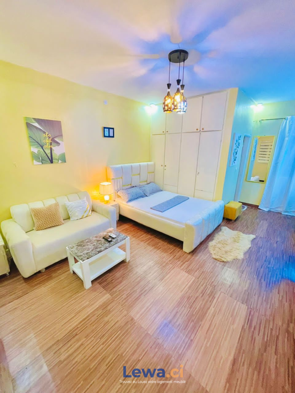 Salon de l'appartement