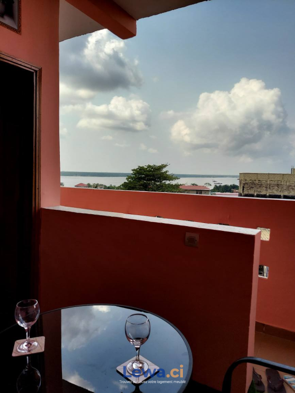 Salon de l'appartement