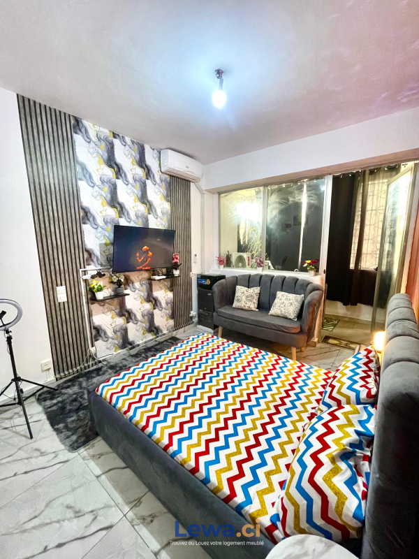 Salon de l'appartement